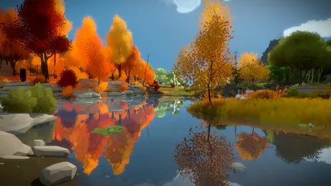 The Witness