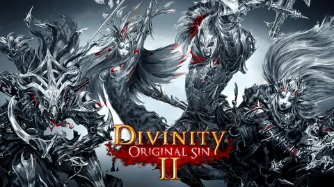 src/games/divinity-original-sin-2/index.jpeg